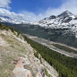 Am Wilcoxpass über der Baumgrenze mit einer super Aussicht