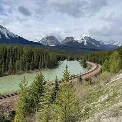 Morant's Curve