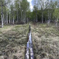 Ob wir hier trockenen Fußes durchkommen? 😬