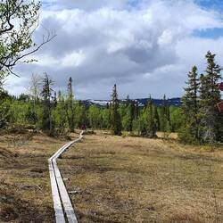 Die roten Kreuze markieren den Winterweg