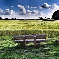 Pause!
