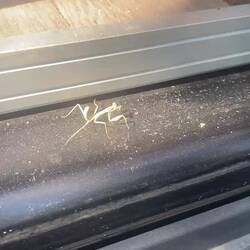 Kleine Gottesanbeterin wollte mitfahren