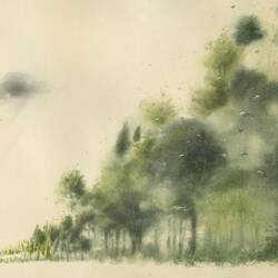 Marina Marcolin - Ambiente