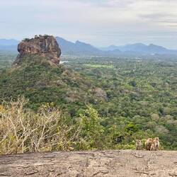 Family picture in front of Sigiriya rock 🐒
