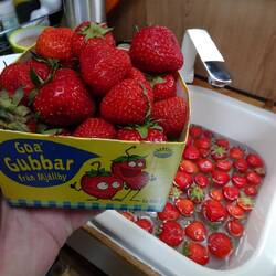 Ach ja, und Erdbeeren vom Bauern hab ich auch geholt.