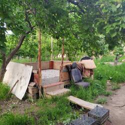 De tuin van het guesthouse