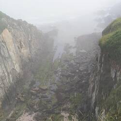Nebelschlucht