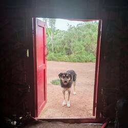 "Do you have some cuddles left, sir?"