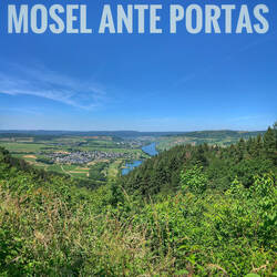 Moseltal
