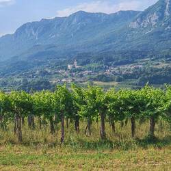 Weinberge und Berge