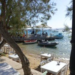 In Aliki