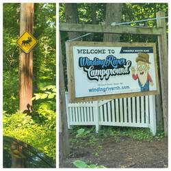 Unusual to find a moose crossing sign in your camp grounds.