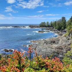 Ucluelet Lighthouse Loop