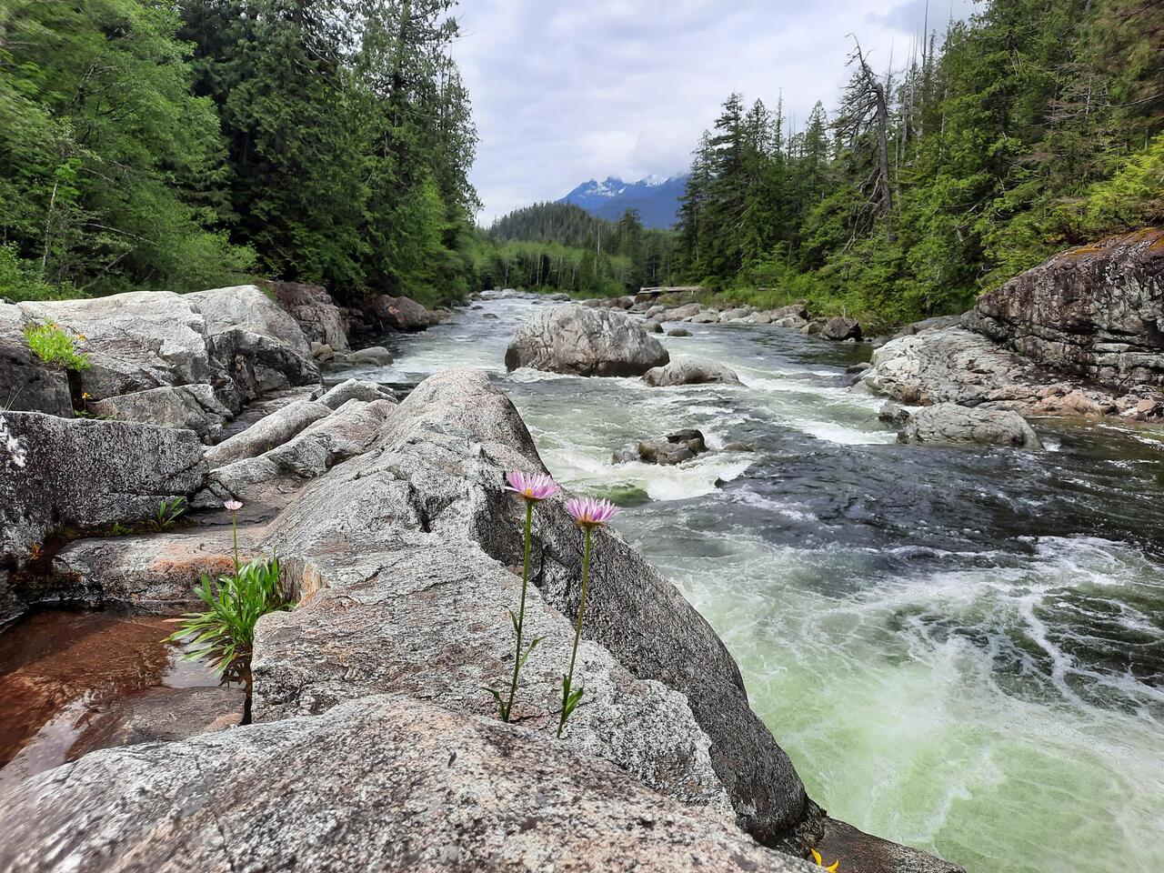 Marion Creek