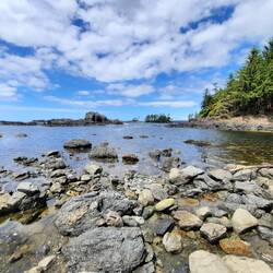 Ucluelet Lighthouse Loop