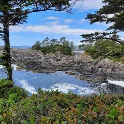 Ucluelet Lighthouse Loop
