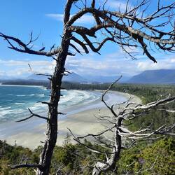 Cox Bay Lookout