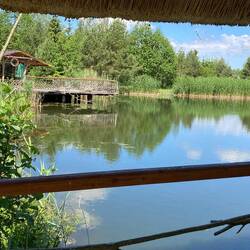 Das würde vielen sicher auch gefallen