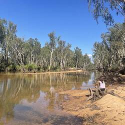 At the creek bend, hundreds of Little Corellas creat a din.