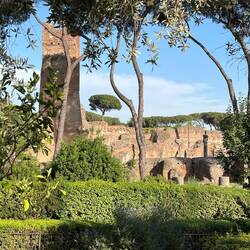 View from Palatine Hill