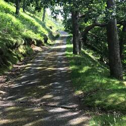 Road continues up to one house