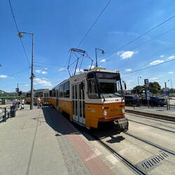 Trams we take everywhere