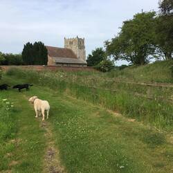 Our walk to the church. On the right is an ancient monument, an 11th century castle mound.