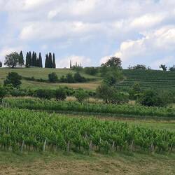 Immer wieder Aussichten wie in der Toskana