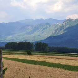 Wohnt hier Frodo?🤔