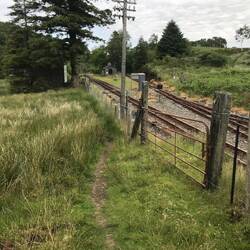 Look north through Dduallt station