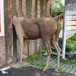 Da steht ein Elch auf dem Flur