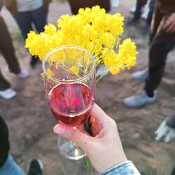 Celebratory drink & lovely flowers plucked by the navigators