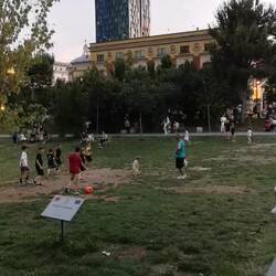 Hier kann man noch Kind sein. Auf der Wiese sind außerdem Bäume aus ganz Europa gepflanzt.