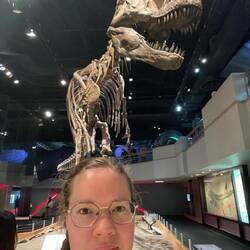 Ein T-Rex🦖 , echt riesig!