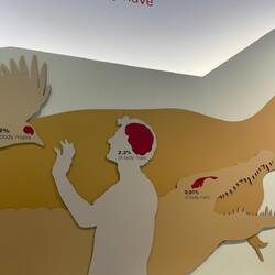 Die Gehirngröße merkt man nicht bei allen Menschen😅