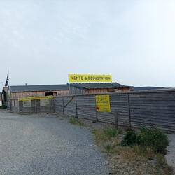 Austerzucht und Verkauf an der Küste