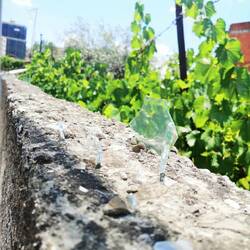 Glasscherben als Alarmanlage - Diebe Vorsicht!