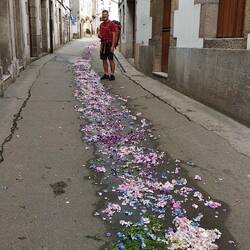 Man streut uns Blumen auf den Weg 🤗 oder doch eher für Fronleichnam