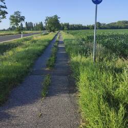 Radweg mit Grünstreifen