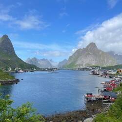 Reine