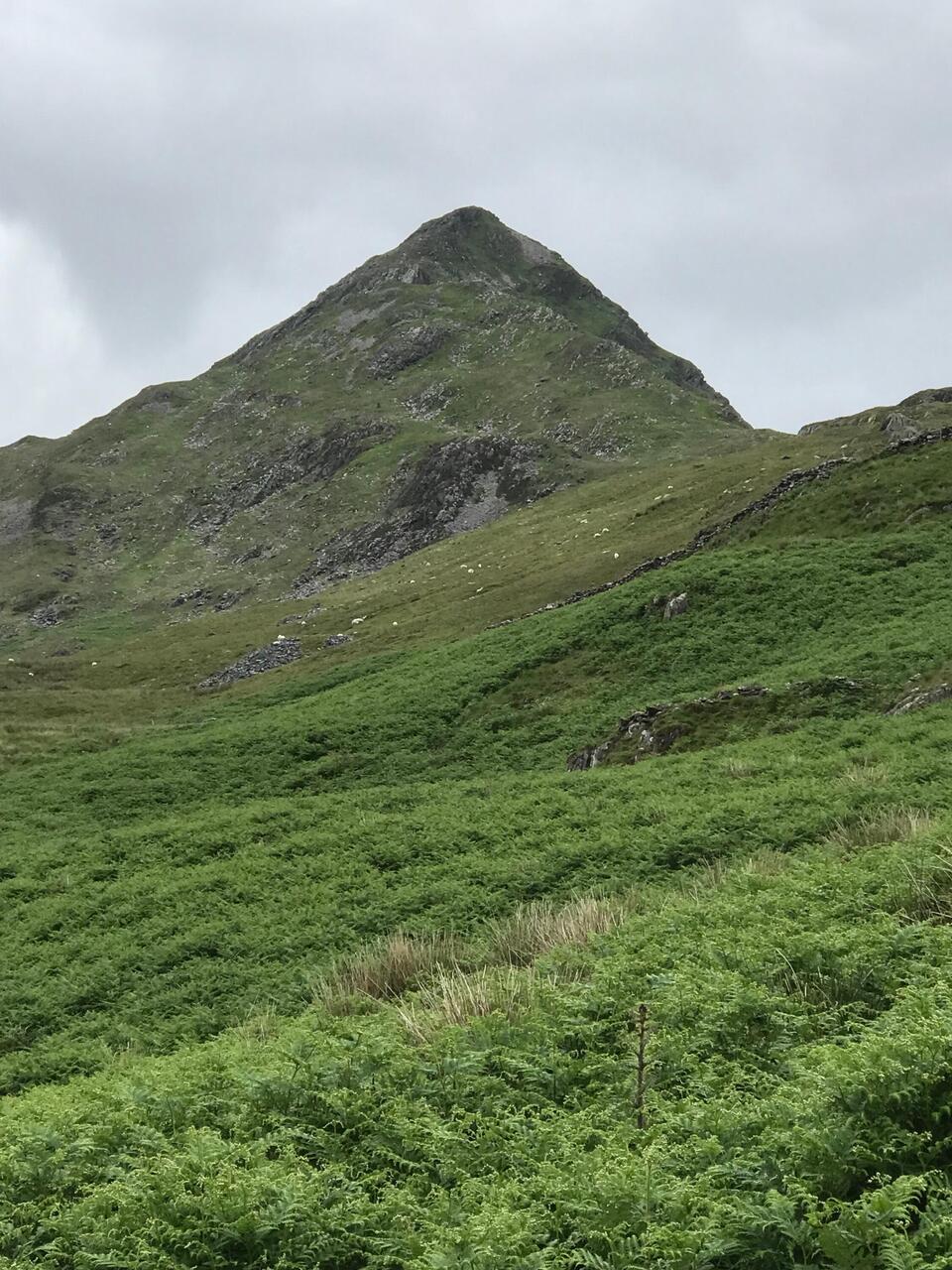Cnicht from the west. Its shape makes it obvious why it is known as 'The Welsh Matterhorn'