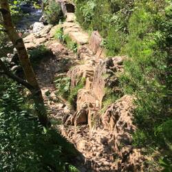 Undulating section of the Fisherman's trail