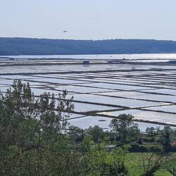 Salinen von Sečovlje