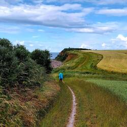 Wunderbare schmale Pfade!