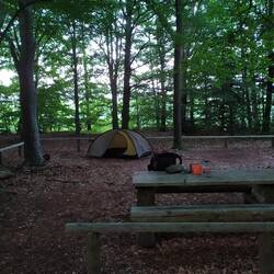 Mein Schlafplatz für heute Abend Tag 29