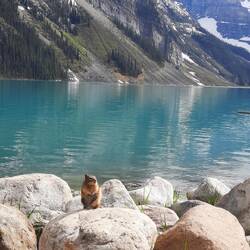Lake Louise