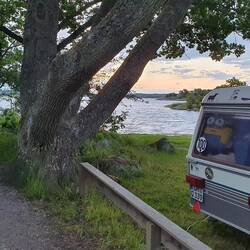 Sich über laute Kinder aufregen, aber nen Minion ins Fenster stellen 🙈