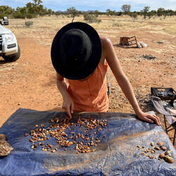 The wash and sorting station