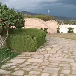Strong wind, dark skies. Storm is coming.
