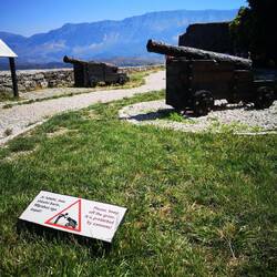 Nicht das Gras betreten - es wird bewacht 🚫😄